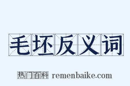 毛坯反义词是什么意思的图片